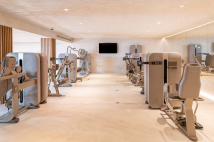 Вращение корпуса TECHNOGYM Artis Luxury Rotary Torso