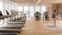 Разгибание рук TECHNOGYM Artis Luxury Arm Extension