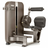 Гиперэкстензия TECHNOGYM Artis Lower Back