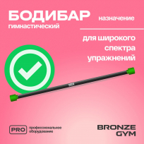 Бодибар BRONZE GYM BG-FA-BDB3 3 кг