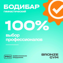 Бодибар BRONZE GYM BG-FA-BDB6 6 кг
