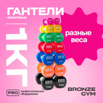 Гантели для аэробики виниловые BRONZE GYM FA-VD1 1 кг (пара)