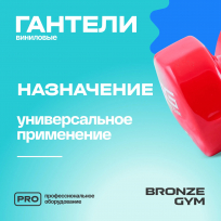 Гантели для аэробики виниловые BRONZE GYM FA-VD4 4 кг (пара)