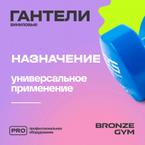 Гантели для аэробики виниловые BRONZE GYM FA-VD5 5 кг (пара)