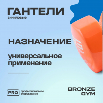 Гантели для аэробики виниловые BRONZE GYM FA-VD6 6 кг (пара)