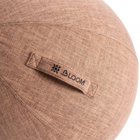 Чехол для мяча BLOOM LB7129/BN 65см