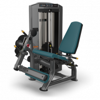 Разгибание ног TRUE FITNESS Palladium Leg Extension SPL-0100 Acrylic