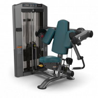  Бицепс TRUE FITNESS Palladium Biceps Curl SPL-0600 Acrylic