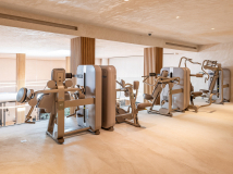 Дельтовидные мышцы TECHNOGYM Artis Luxury Rear Delt Row