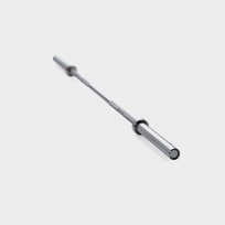 Гриф TECHNOGYM Professional Bar 2200 мм